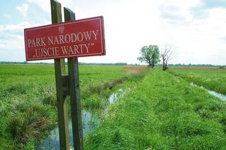 Park Narodowy Ujście Warty