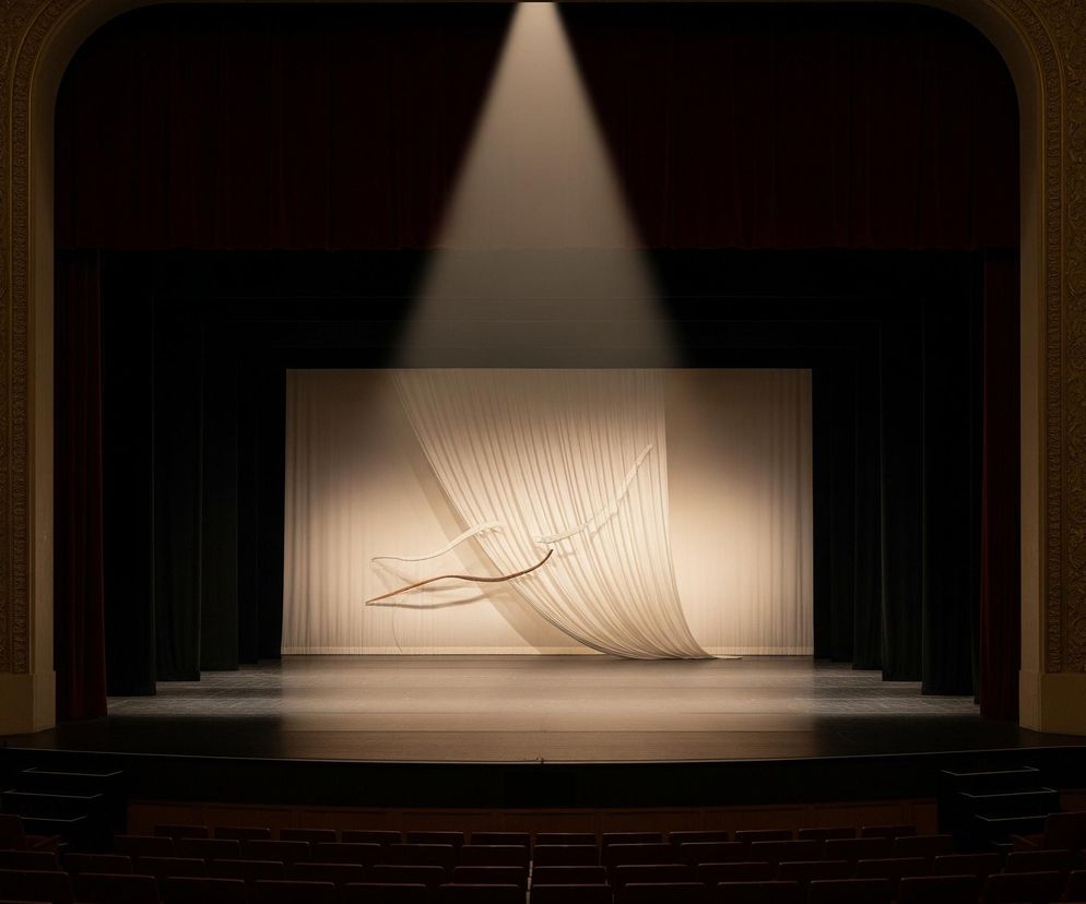 Teatralna scena oświetlona jest pojedynczym, jasnym snopem światła padającym z góry na centralną część, gdzie wisi półprzejrzysta, biała zasłona ułożona w miękkie fałdy. Na tej zasłonie widoczny jest abstrakcyjny, zakrzywiony kształt przypominający gałąź lub długi liść, unoszący się w powietrzu. Po bokach sceny wiszą ciężkie, ciemnobordowe kurtyny, a przed nimi widoczny jest rzędy pustych, brązowo-czerwonych foteli widowni. Architektura wokół sceny, w tym loże i łuki, ozdobiona jest złotymi detalami.