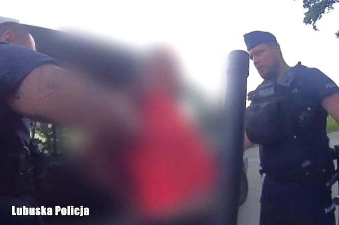 Pijany kierowca demolował wieś