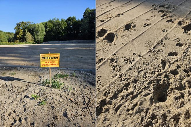 Ma tu być stadion. Teraz jest wychodek dla psów. Miłośnicy sportu grzmią: "Uciekniemy się do drastycznych metod"