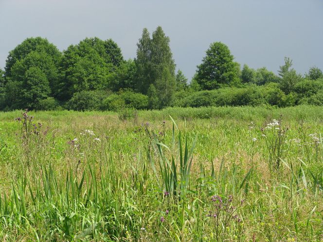 Bagno Całowanie