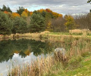 Serenity Park w Mysłowicach to nowe miejsce wypoczynku na Śląsku