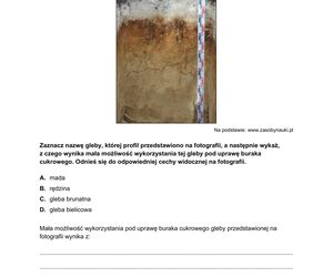 Matura 2025 geografia - odpowiedzi, arkusz CKE  CKE 15.05.2025 - Formuła 2015	