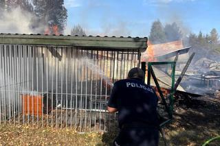 Pożar we wsi Budy. Policjant zauważył dym i ruszył na pomoc
