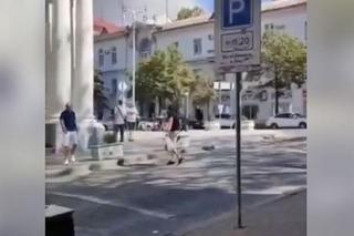 Atak na sztab rosyjskiej Floty Czarnomorskiej