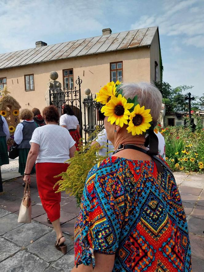 Dożynki 2024 w powiecie starachowickim. W Wąchocku dożynkowe wieńce, korowód i przysmaki