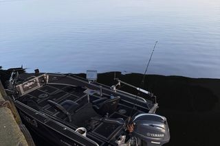 2,5 metrowy sum złowiony przez Pana Michała