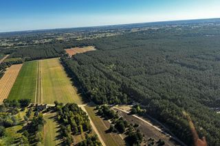 Pani Marianna dwa dni temu zniknęła z domu. Szuka jej zrozpaczona rodzina i policja