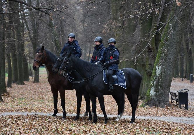 Policja na meczu w Jarosławiu. Kibice wbiegli na murawę 