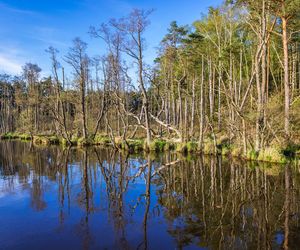 Słowiński Park Narodowy