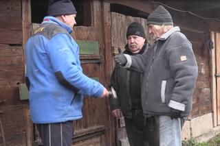 Rolnicy. Podlasie. Nerwowo w Plutyczach. Gienek żartował, Walek komentował