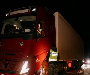 Transporty żywych zwierząt pod kontrolą.  Małopolska broni się przed pryszczycą!