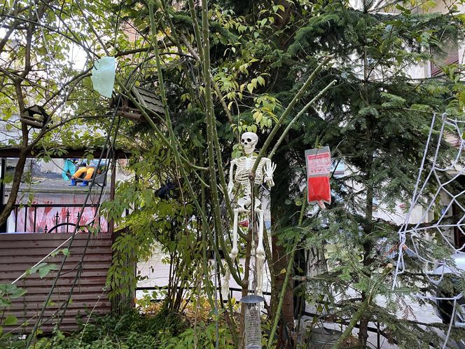 Najstraszniejsze łódzkie podwórko Wólczańska 7