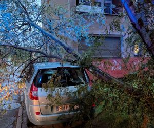 Powalone drzewa, zalania, wstrzymany ruch tramwajów: dramatyczny bilans orkanu nad Śląskiem