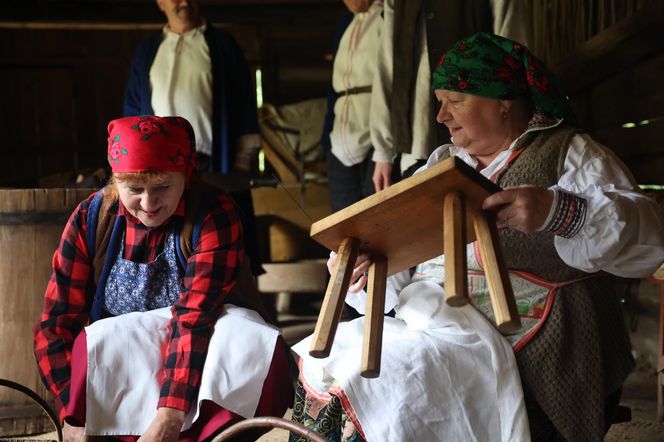 Tak ongiś siekano kapustę w woj. lubelskim. „Obieraczki kapuściane” w Muzeum Wsi Lubelskiej