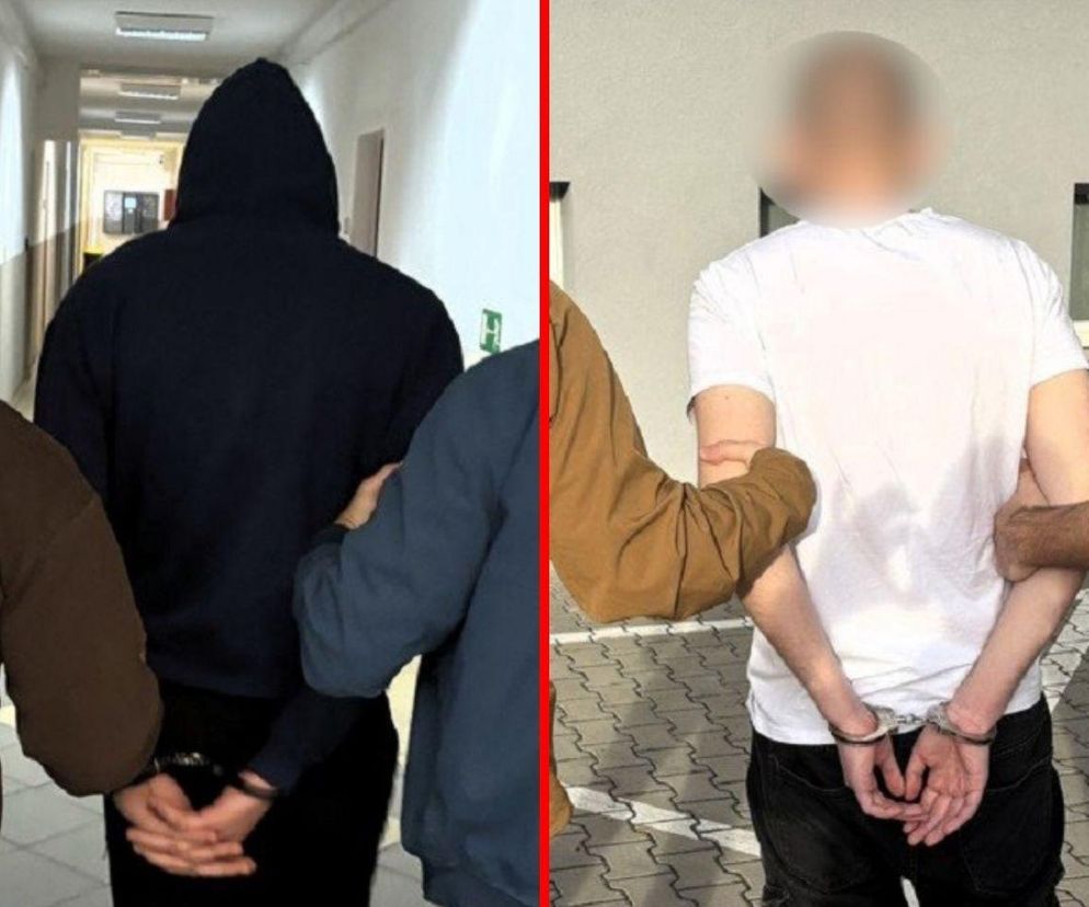 Myślał, że wiezie paczkę dla syna, a w torbie znalazł fortunę