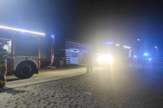 Ochłodził się na śmierć. Tragedia we Fromborku 