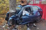 Audi wbiło się w drzewo, 18-latka nie żyje