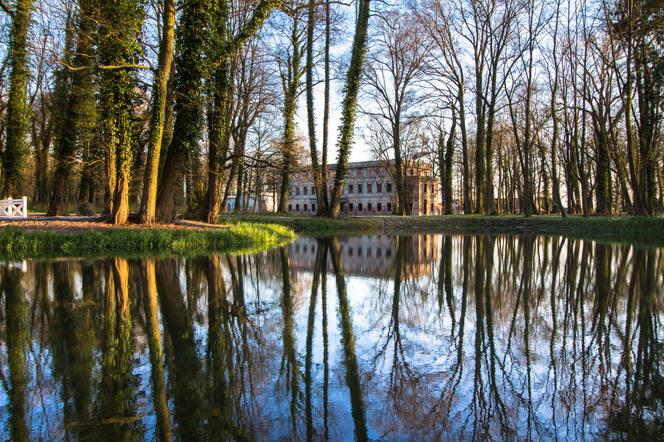 Zatonie widok na park i pałac