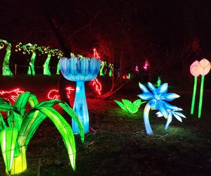 Park iluminacji w Lublinie