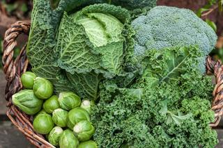 Jak przechowywać warzywa w zimie? Jak przechowywać warzywa zimą na balkonie, w piwnicy, w ziemi?