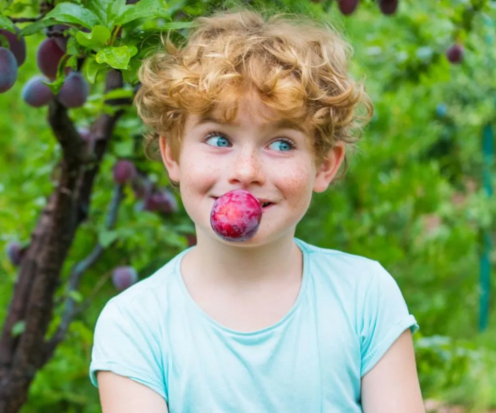 Quiz. Śliwka to nie tylko owoc! Zaznacz smakołyki o podwójnym znaczeniu i zgarnij komplet punktów