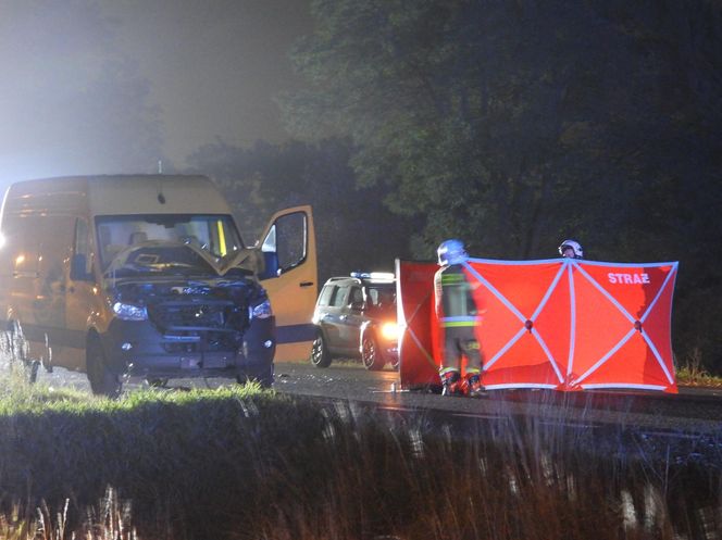 Śmiertelne potrącenie człowieka na prostej drodze. Nie miał szans
