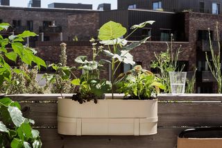 Skrzynki balkonowe na balustradę