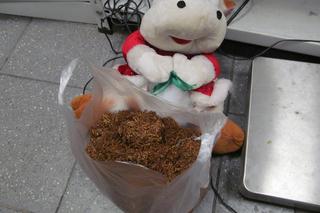 Maskotka z niespodzianką. Nietypowa próba przemytu w Medyce [GALERIA]