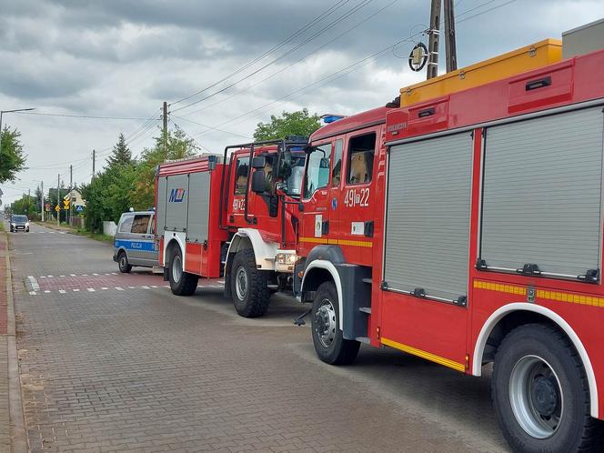 Śnięte ryby na Smugowej w Starachowicach