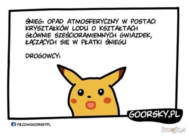 Memy o zimie roztapiają smutki. Te śnieżne obrazki rozbawią cię do łez [TOP 75]