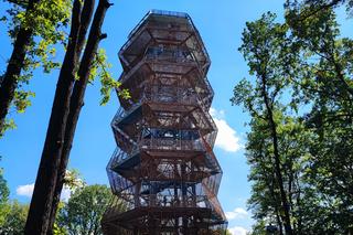 Nowa wieża widokowa w Górach Wałbrzyskich. Ale widoki na Wałbrzych!