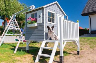 impregnaty do drewna