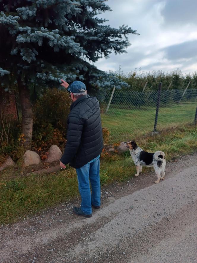 Gacek znalazł się w pułapce. Uratowała go suczka Roksana