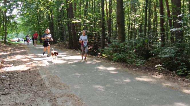 Bieg i marsz nordic walking o Puchar Miejskiej Góry