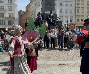 Polonez wiosenny na Rynku Głównym w Krakowie