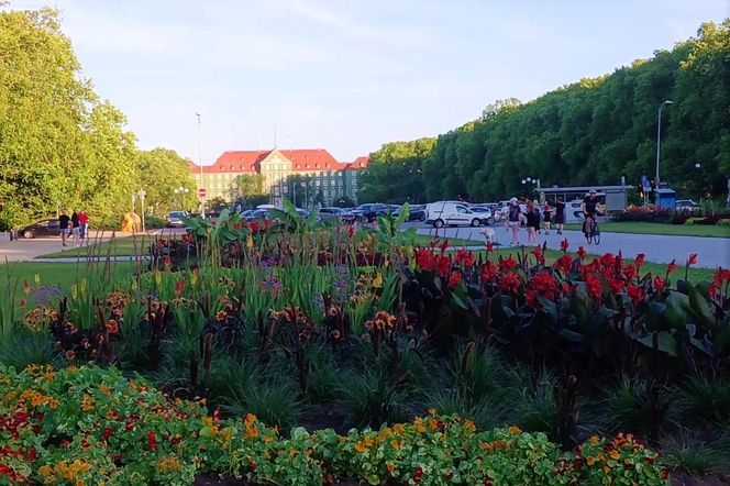 Park Kasprowicza i Jasne Błonia