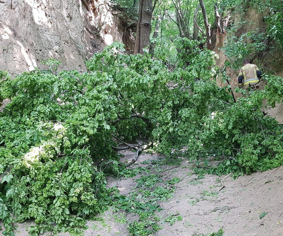 Paskudny wypadek na wycieczce. To uczniowie z Warszawy!