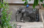 Warszawskie zoo