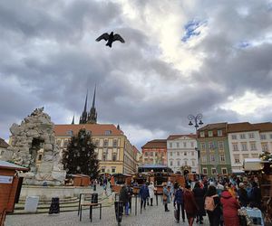 Jarmark bożonarodzeniowy w czeskim Brnie 2024