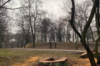 Remont w Parku Tysiąclecia. Styczeń 2023