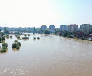 Tak wygląda Oława w czasach powodzi 2024 roku. Poruszający materiał