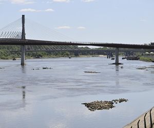 Alarm! Wisła wysycha na naszych oczach. Katastrofalny poziom wody w Warszawie