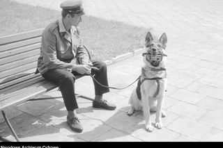 QUIZ PRL. Kryminalny PRL. Zbrodnie, przestępstwa i kryminaliści Polski Ludowej