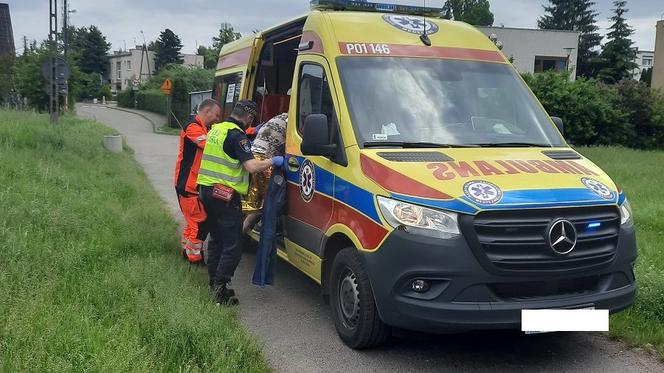 Półnagi mężczyzna siedział w strumyku i nie mógł się ruszyć! Zaskakująca przczyna [ZDJĘCIA]