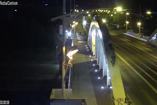 Siedziała na gałęzi w centrum Poznania. Zaskakujące zachowanie kobiety