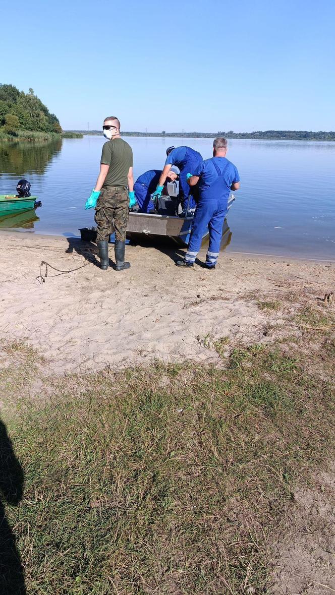 Kryzys ekologiczny na Śląsku. Odłowiono już 25 ton śniętych ryb. Rozpoczęto eksperyment badawczy