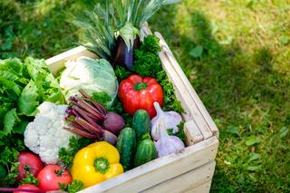 Warzywa i zioła, które można siać w czerwcu. Zbiorami nacieszysz się jeszcze latem