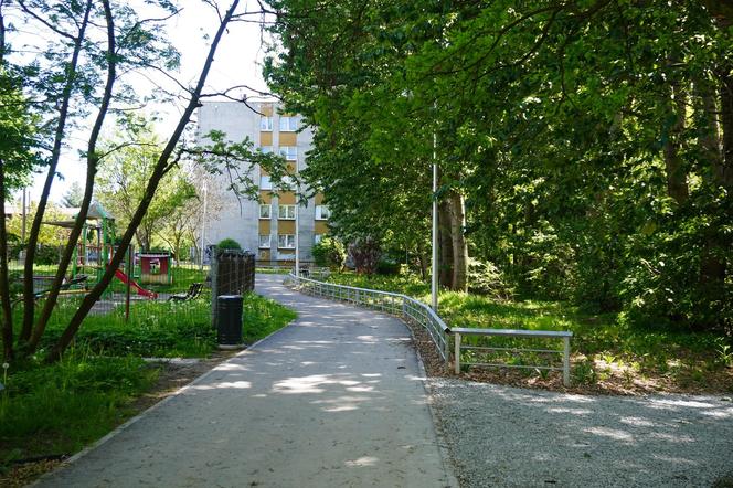 Tak wygląda park w dolinie Ślepiotki w Katowicach