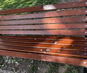 Park Lawendowy na osiedlu TBS w Białymstoku